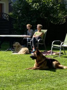 Hundetraining im Urlaub, Hundeseminar, Hundekurs, Urlaub mit Hund in Österreich