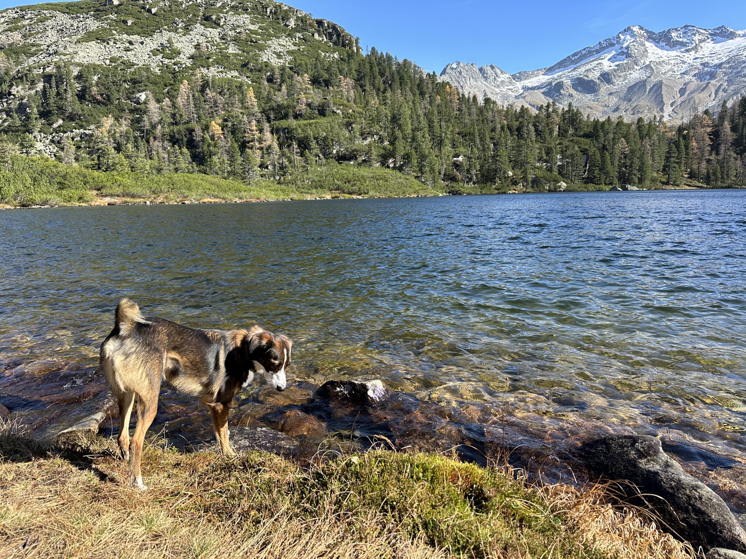 Urlaub in Gastein